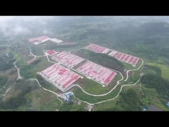 Система клеток для птицефабрик