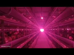 Низкий уровень неисправностей Система кормления птицы Точный контроль для птицеводства