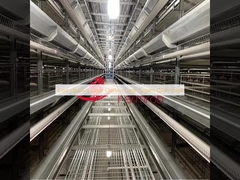 Экономически эффективная система куриных клеток Q235 Steel