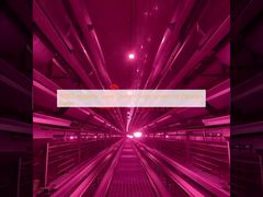 Система клеток для кур с 80000 гигиеническими слоями для пакистанских ферм