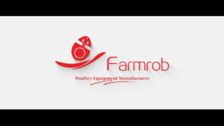 Клетка курочки