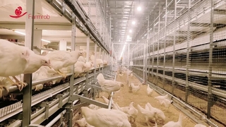 Система социального обеспечения Farmrob