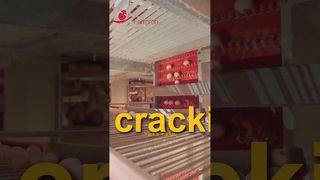 Фармроб | Стабильный подъем яиц