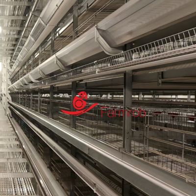 CE H type Layer Chicken Cage System for Morocco Farm
